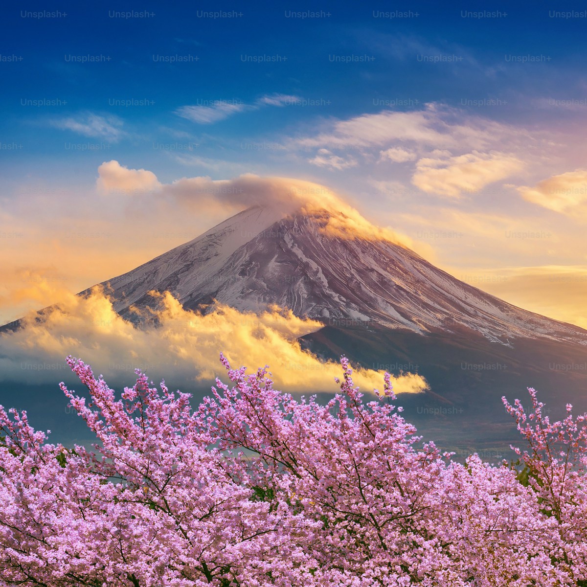 Mount Fuji and cherry blossoms in spring, Japan